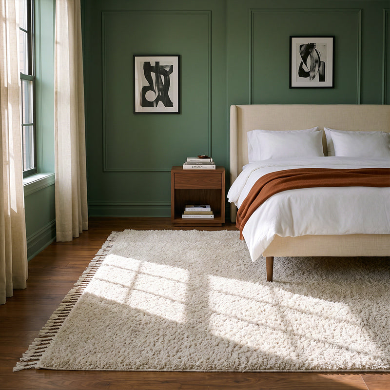 Shag Rugs collection banner